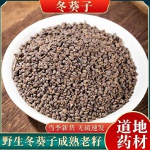 冬葵子材野生冬葵籽特级冬葵子籽精选新货野生冬葵子药材