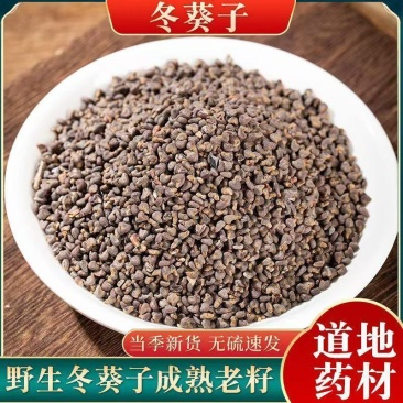 冬葵子材野生冬葵籽特级冬葵子籽精选新货野生冬葵子药材