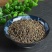 冬葵子材野生冬葵籽特级冬葵子籽精选新货野生冬葵子药材