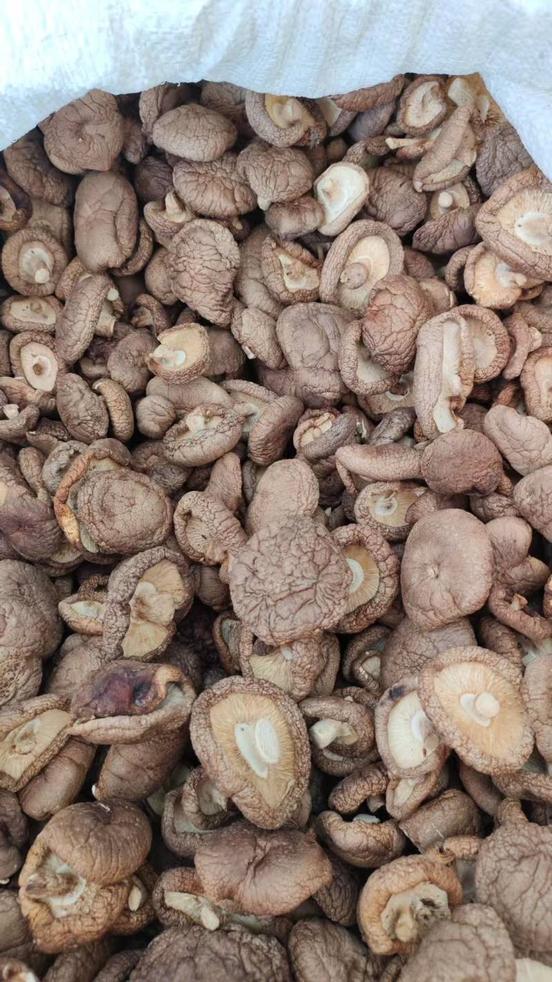 《畅销推荐》河北香菇干货基地直发保质保量对接商超团购