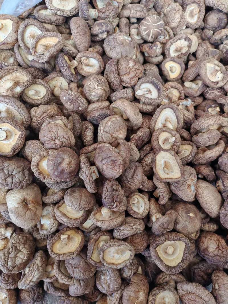 《畅销推荐》河北香菇干货基地直发保质保量对接商超团购