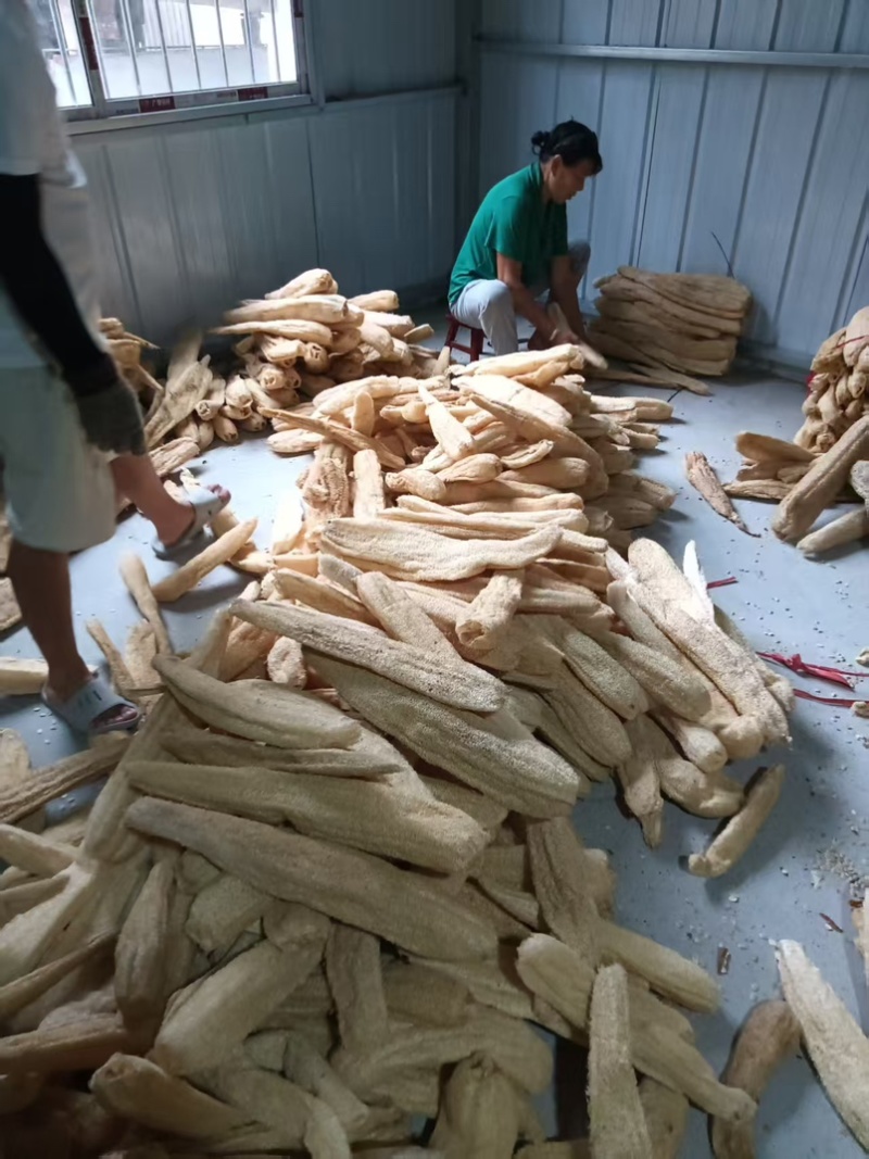 精品丝瓜络45一斤一件货起批量大优惠包邮