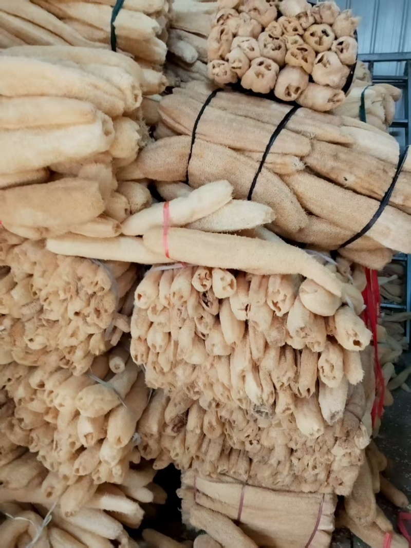 精品丝瓜络45一斤一件货起批量大优惠包邮