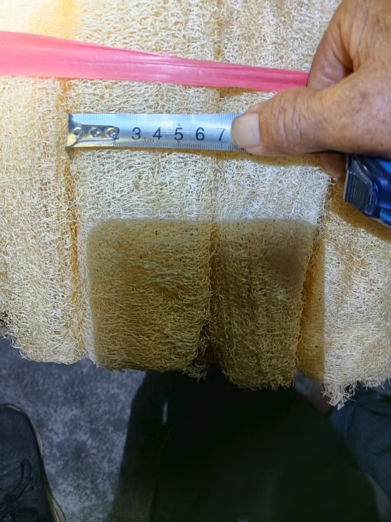 精品丝瓜络45一斤一件货起批量大优惠包邮