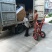 精品丝瓜络43一斤一件货起批包邮