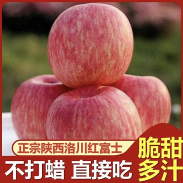 陕西洛川红富士苹果，大量有货，全国代发，需要的联系