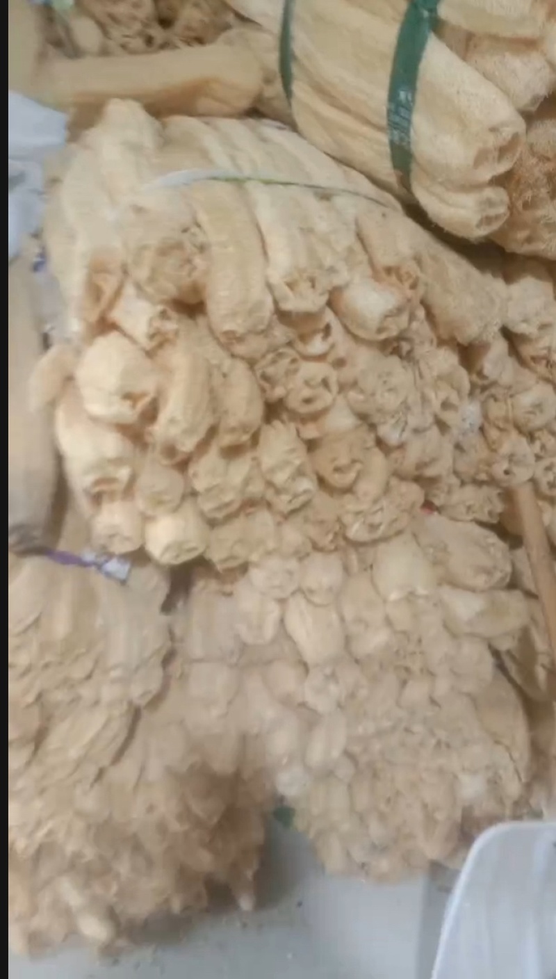 精品丝瓜络43一斤一件货起发包邮