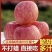 陕西洛川红富士苹果，全国代发，大量有货，需要联系