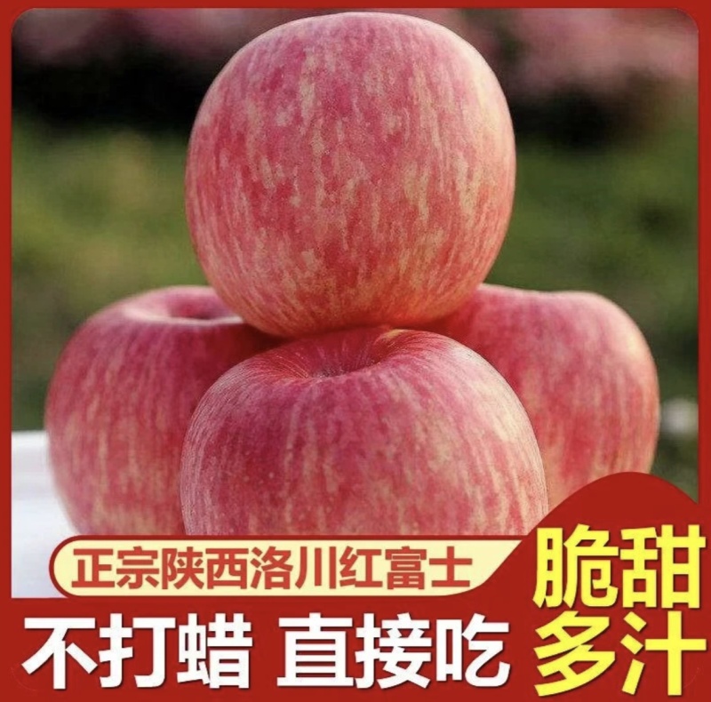 陕西洛川红富士苹果，全国代发，大量有货，需要联系