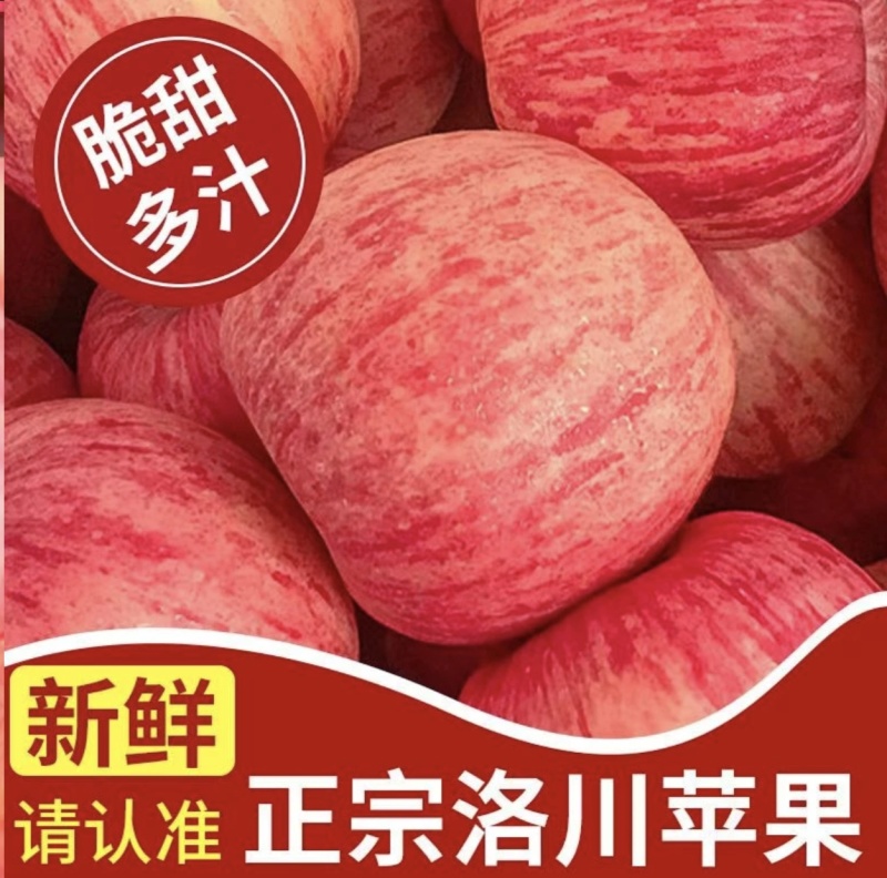陕西洛川红富士苹果，全国代发，大量有货，需要联系