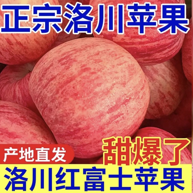 陕西洛川红富士苹果，全国代发，大量有货，需要联系