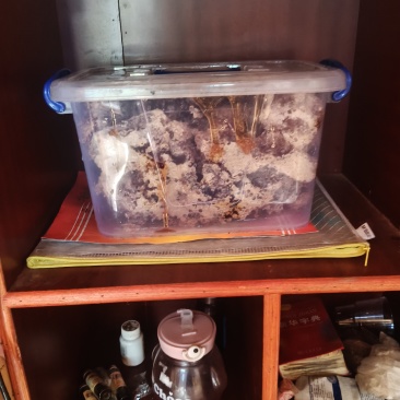 云南土蜂蜜大量有货一手货源对接商超市场电商团购