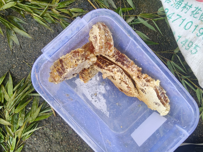 云南土蜂蜜大量有货一手货源对接商超市场电商团购