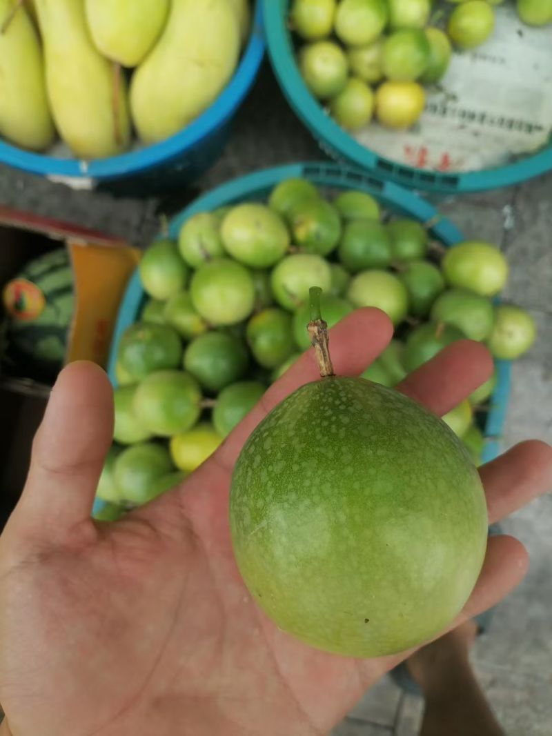 一件代发海南钦密9号百香果