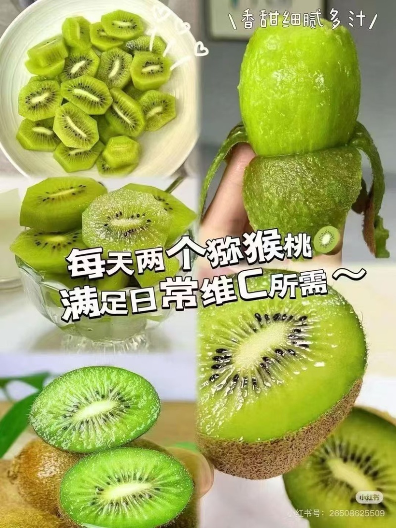 贵州修文贵长猕猴桃批发需要多少都可以价格有优惠
