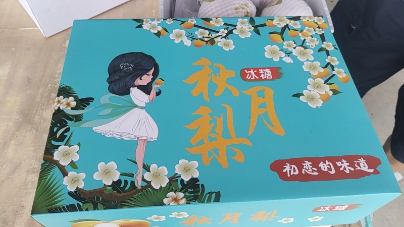 山东莱阳秋月梨礼盒装价格实惠运输便利欢迎电联货发全国