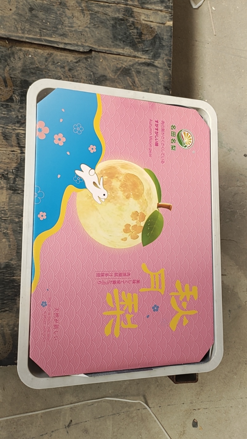 山东莱阳秋月梨礼盒装价格实惠运输便利欢迎电联货发全国