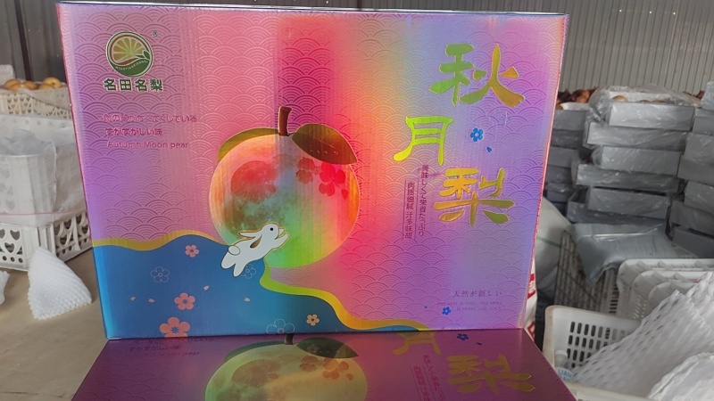 山东莱阳秋月梨礼盒装价格实惠运输便利欢迎电联货发全国