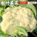 2025新货有机花量大质优，价格美丽，代收代发全国各地