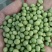 青豆高蛋白43%左右精选，豆苗菜等专用