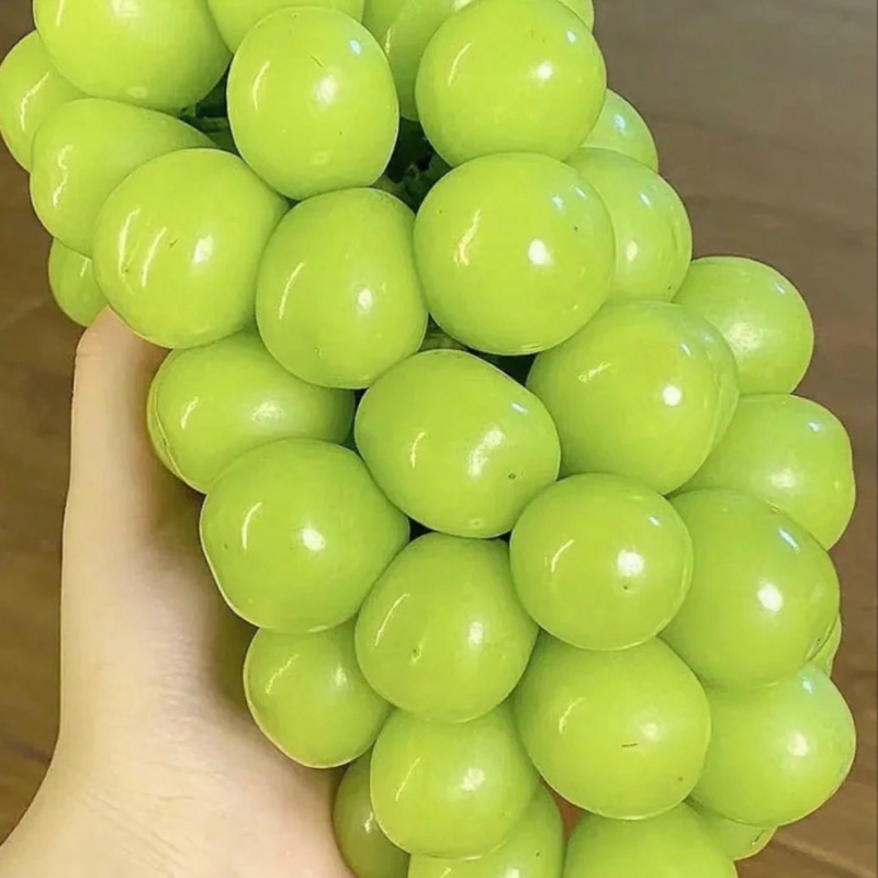 阳光玫瑰，斤半的把，12克往上