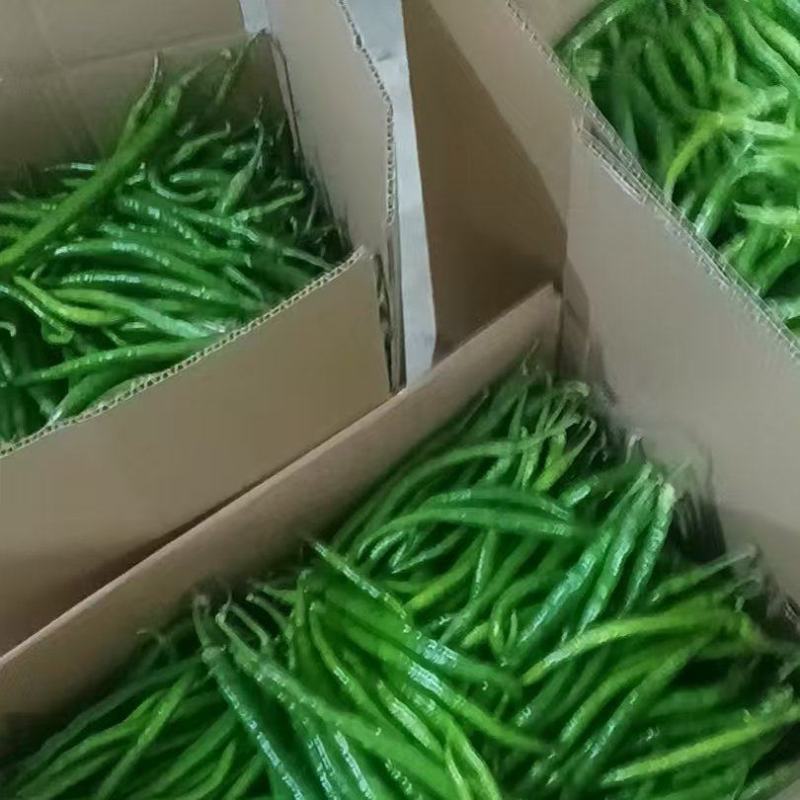 线椒