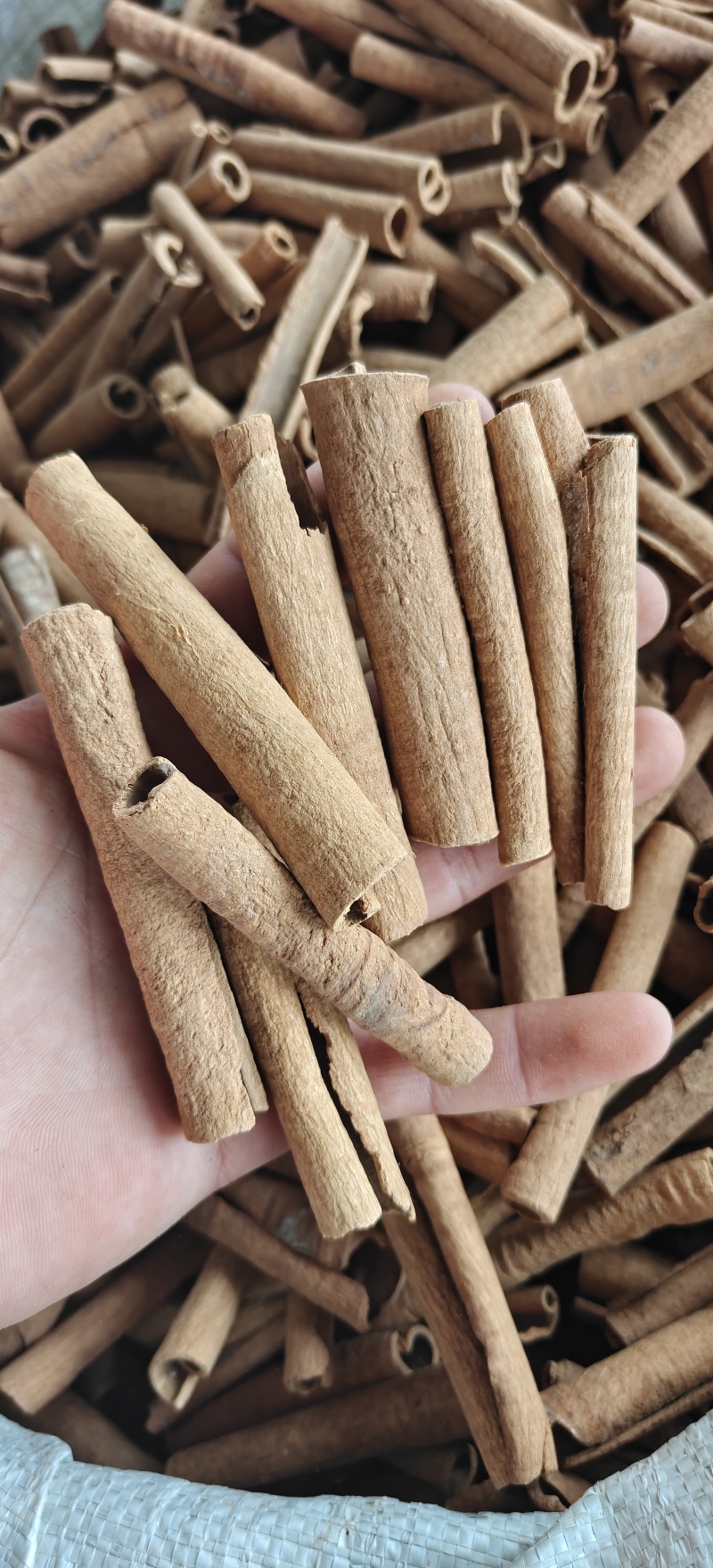 肉桂，广西去皮肉桂筒，选，关书药材品质如图所示规格齐全
