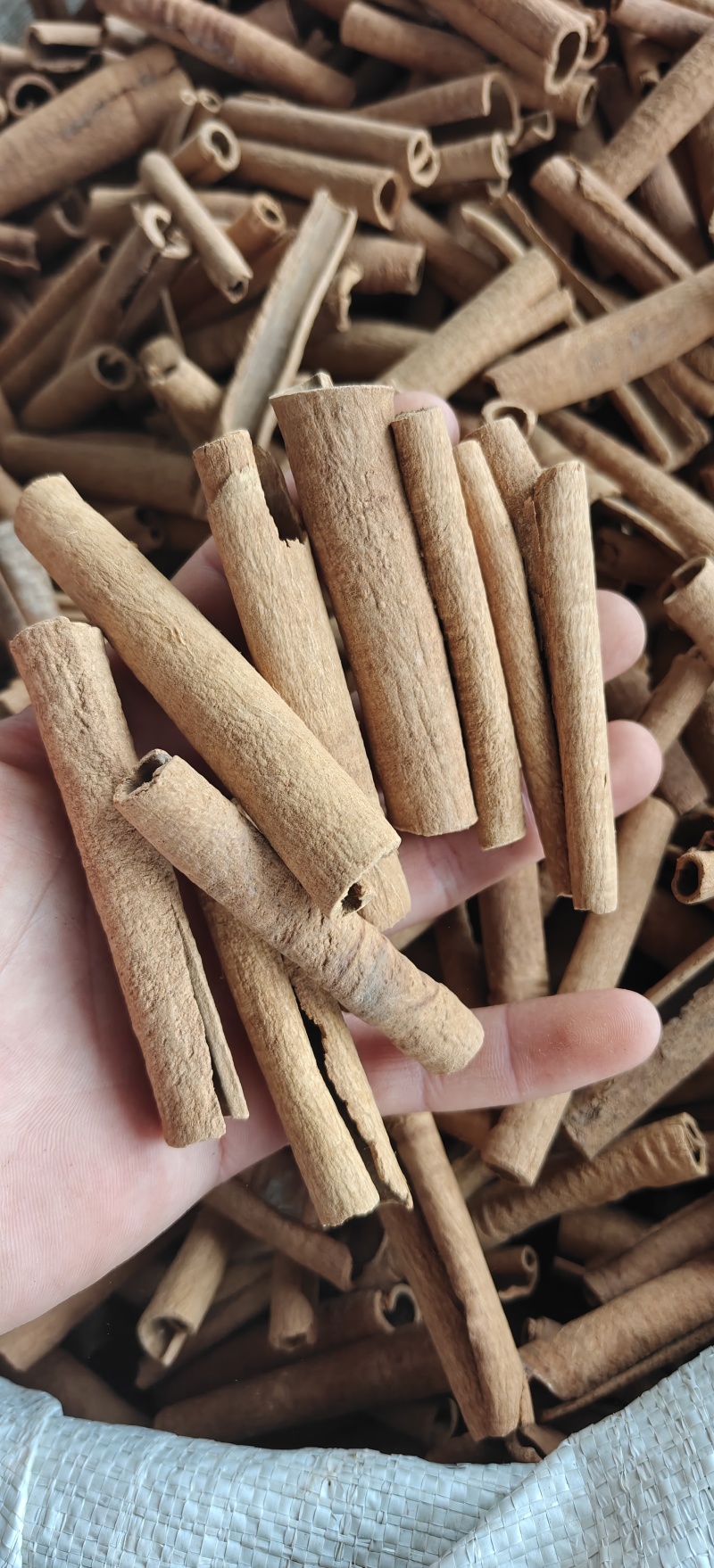 肉桂，广西去皮肉桂筒，选，关书药材品质如图所示规格齐全