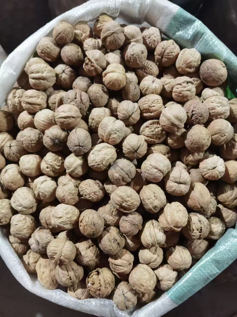 薄皮核桃纸皮核桃过筛精选货薄皮核桃纸皮核桃过筛色远