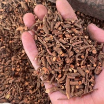 红茜草新货统货批发各种规格中药材