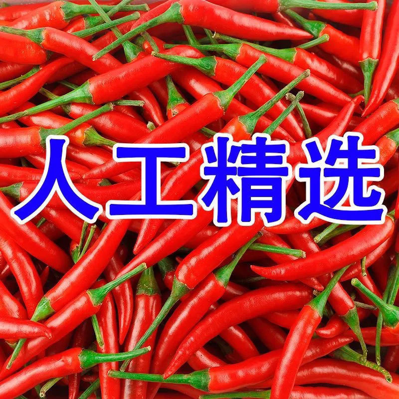 苏鲁豫皖万亩辣椒基地小米红尖椒洪金塔杭椒品质好