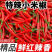 苏鲁豫皖万亩辣椒基地小米红尖椒洪金塔杭椒品质好