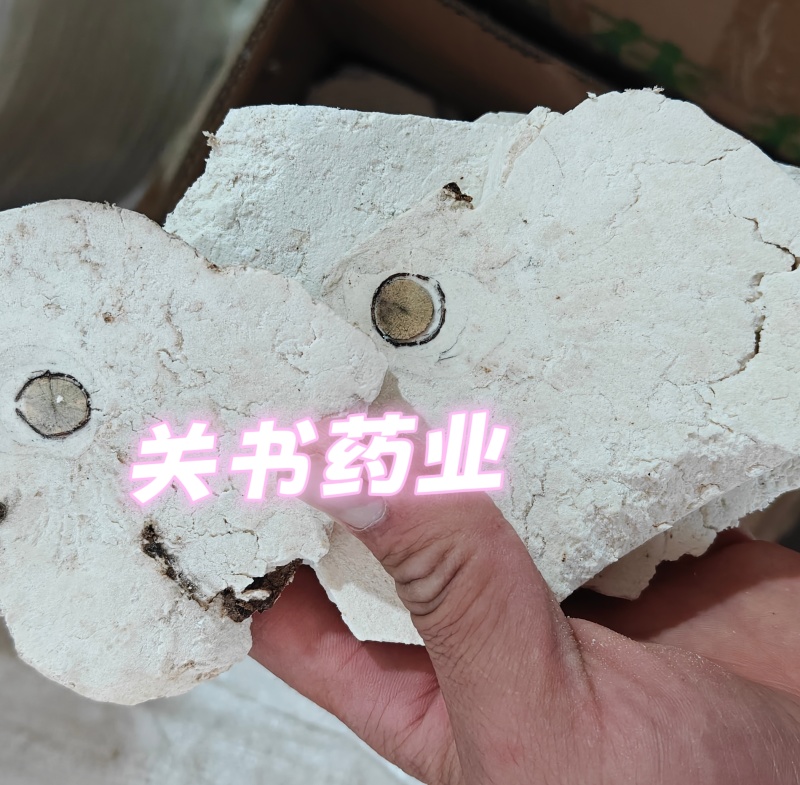茯神选关书药业专注品质如图所示一手货源规格齐全