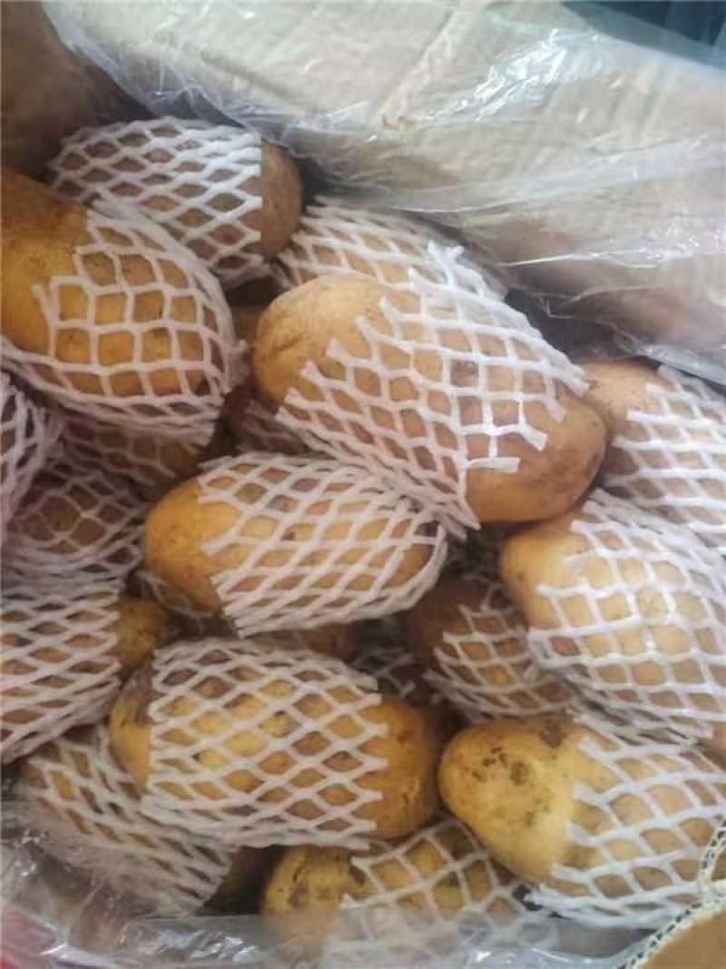 【推荐】内蒙希森土豆供应市场商超电商一手货源量大价优