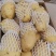 【推荐】内蒙希森土豆供应市场商超电商一手货源量大价优