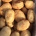 【推荐】内蒙希森土豆供应市场商超电商一手货源量大价优