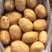 【推荐】内蒙希森土豆供应市场商超电商一手货源量大价优