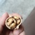 大凉山薄皮干核桃25年新货无烟熏天然核桃吃得放心