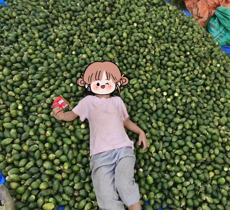 海南青槟榔，看得见的品质。