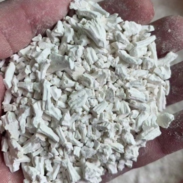 江西红薯粉保质保量诚信经营欢迎大家咨询