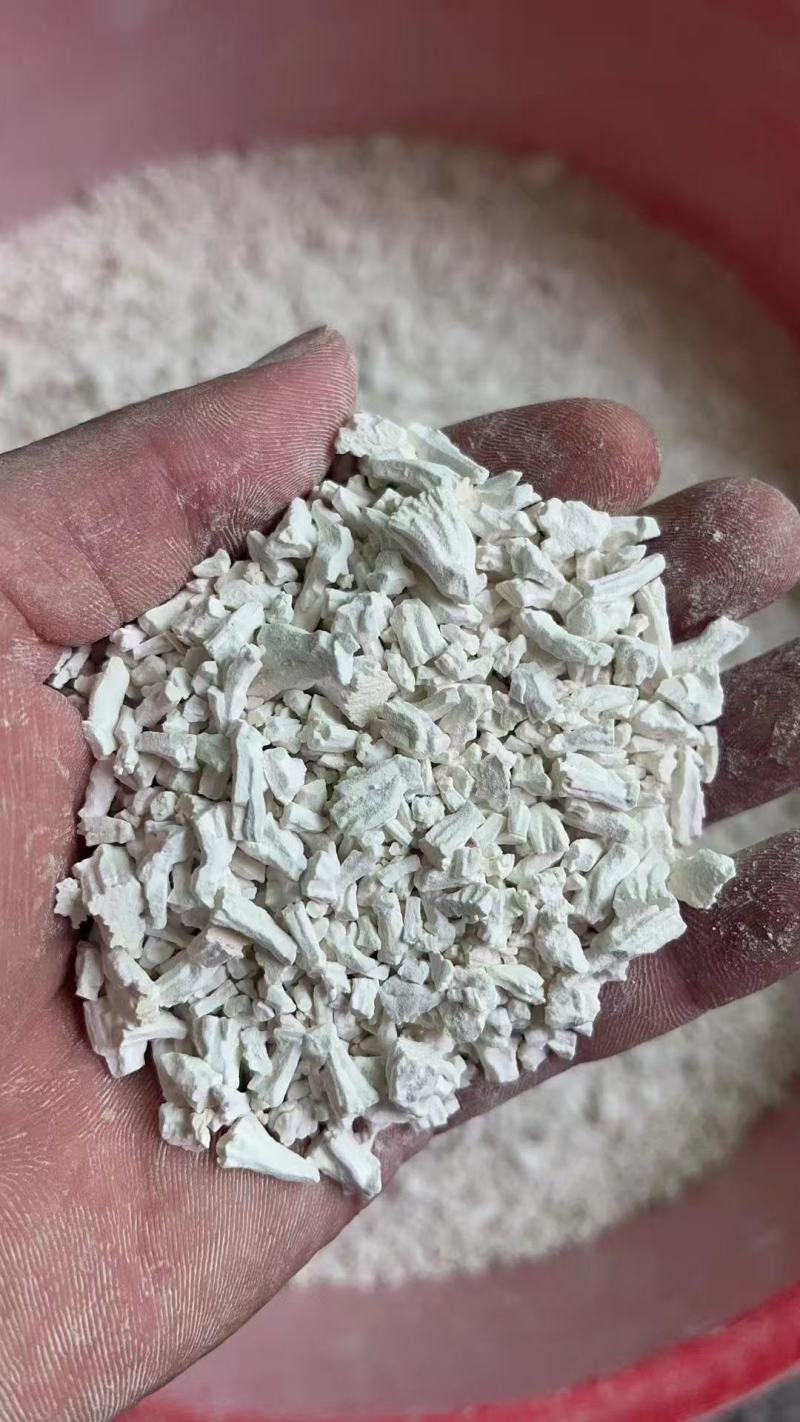 江西红薯粉保质保量诚信经营欢迎大家咨询