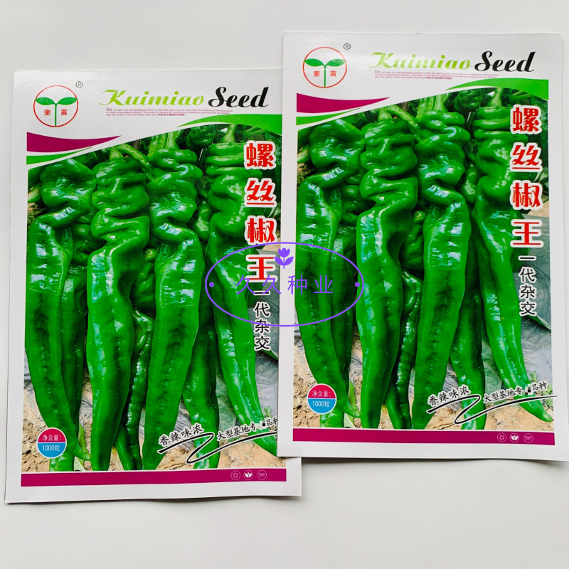 奎苗螺丝椒王辣椒种子早中熟牛角椒种籽薄皮辣味香浓春秋播种