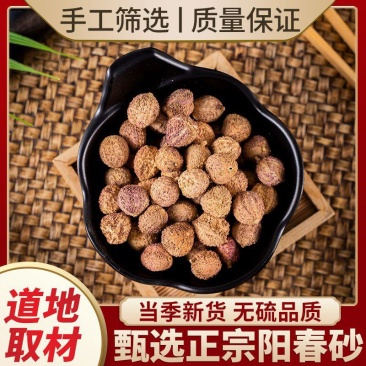 广东阳春春砂仁中药材正宗阳春砂正品砂仁果特级砂仁茶毛砂仁