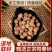 广东阳春春砂仁中药材正宗阳春砂正品砂仁果特级砂仁茶毛砂仁