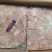 大包装15/25腿肉块10吨，小包装25/35腿肉块6吨