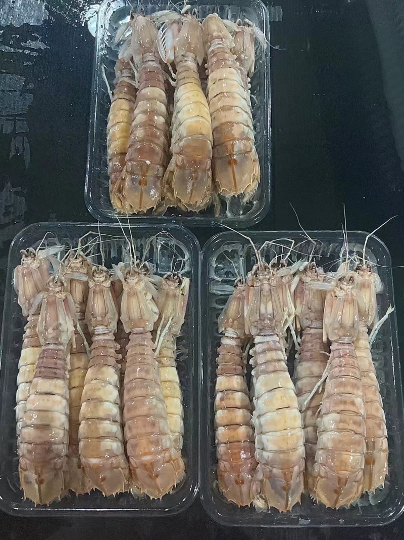 北海活煮皮皮虾熟冻皮皮虾