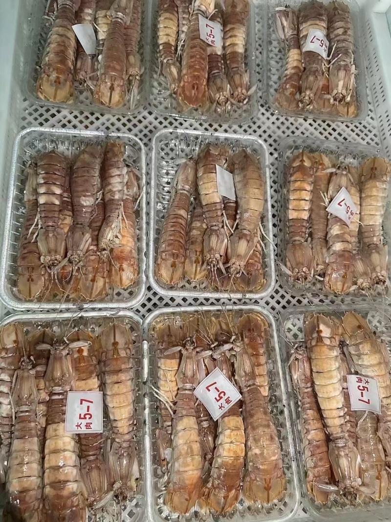 北海活煮皮皮虾熟冻皮皮虾