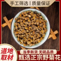 野菊花中药材野菊花茶小野菊花正宗菊花米小花蕾菊花泡茶菊花
