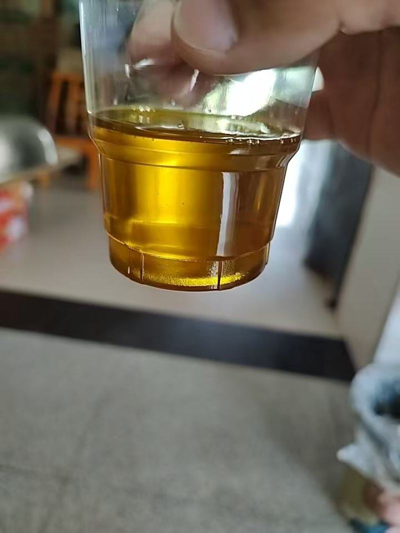 精品油菜籽长期供货质量保证支持视频看货欢迎选购