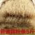 红薯粉条纯手工红薯粉条